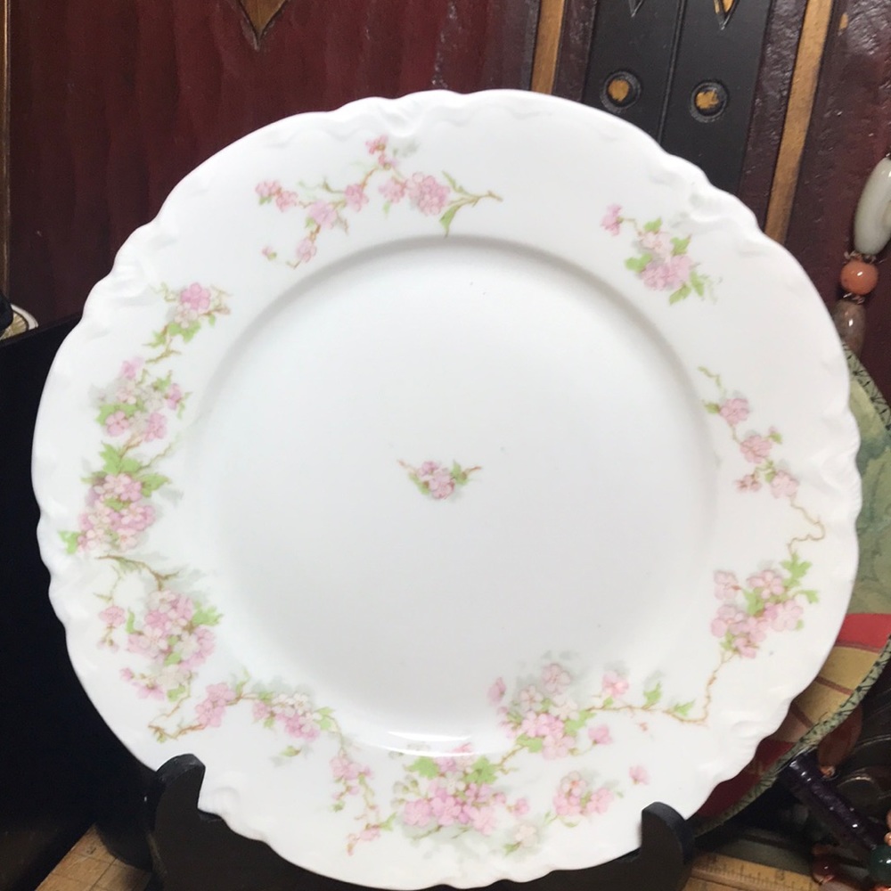 M. Z. Austria China Dinner Plate 9.5” D Pink Blossoms